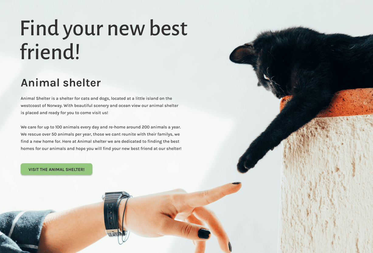 Animal Shelter